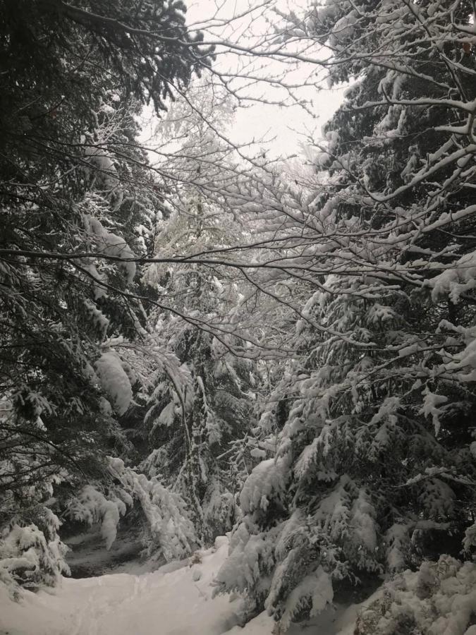 Valcivieres La Source D'En Haut מראה חיצוני תמונה